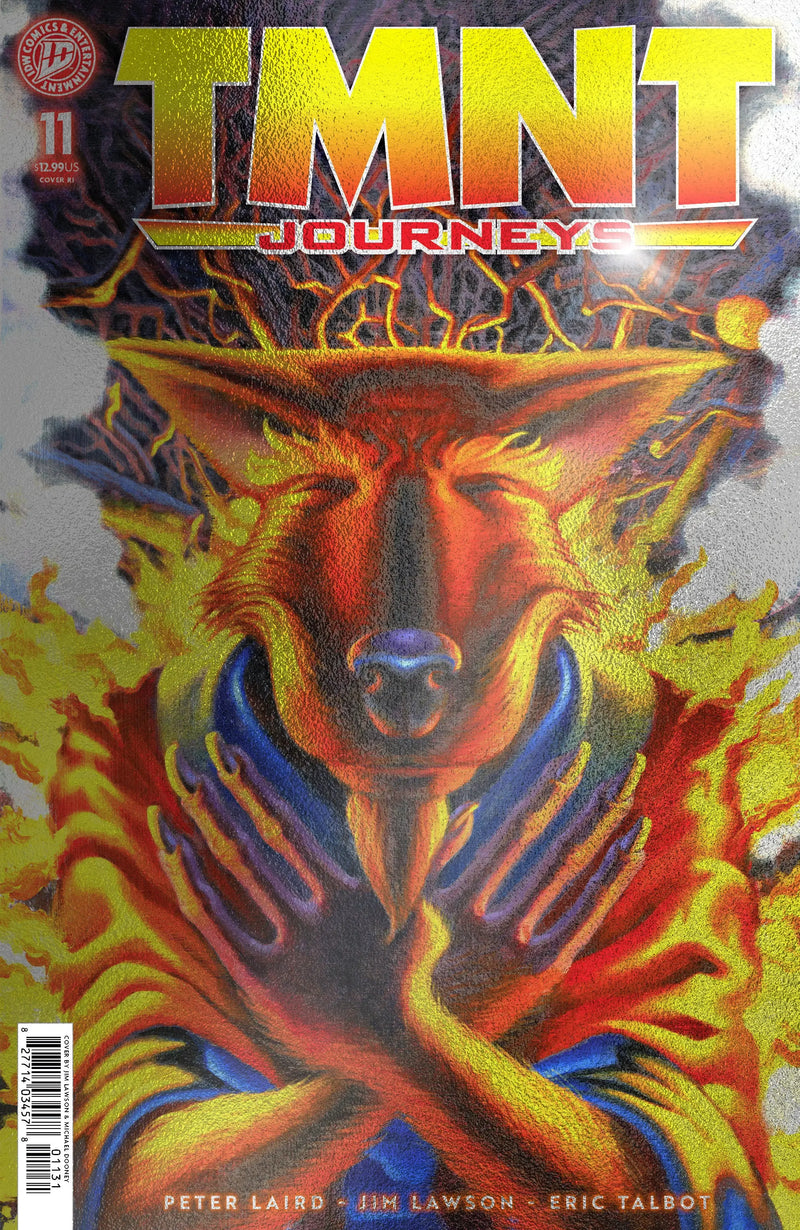 Teenage Mutant Ninja Turtles: Journeys #11 Variant Ri (10) Foil (Dooney & Lawson) IDW Publishing