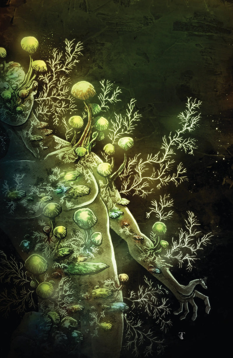 In Bloom #4 C 1 in 10 Variant Edition (Full Art, Templesmith) Boom! Studios