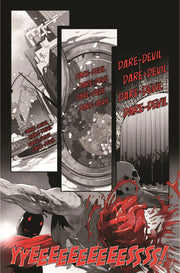 Marvel Zombies: Black, White & Blood (Mature) Marvel Comics