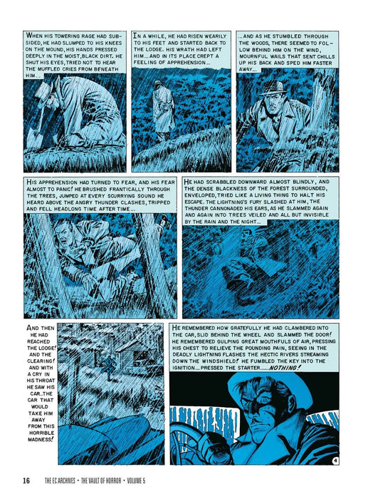 The EC Archives: The Vault of Horror Volume 5