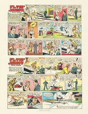Dauntless Dames: High-Heeled Heroes of the Comics by Various Artists, Trina Robbins, Peter Maresca Sunday Press Books