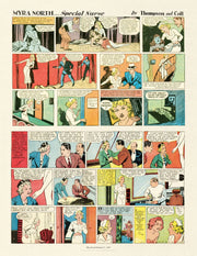 Dauntless Dames: High-Heeled Heroes of the Comics by Various Artists, Trina Robbins, Peter Maresca Sunday Press Books