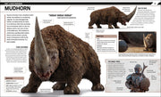 Star Wars The Mandalorian Visual Guide DK Publishing