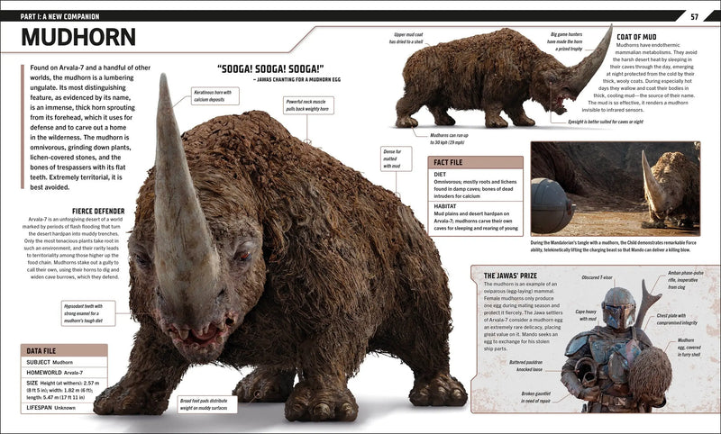 Star Wars The Mandalorian Visual Guide DK Publishing