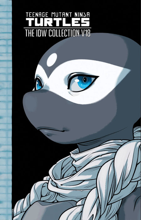 Teenage Mutant Ninja Turtles: The Idw Collection, Volume 18 IDW Publishing