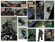 Teenage Mutant Ninja Turtles: The Last Ronin Box Set IDW Publishing