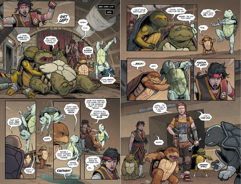 Teenage Mutant Ninja Turtles: The Last Ronin Box Set