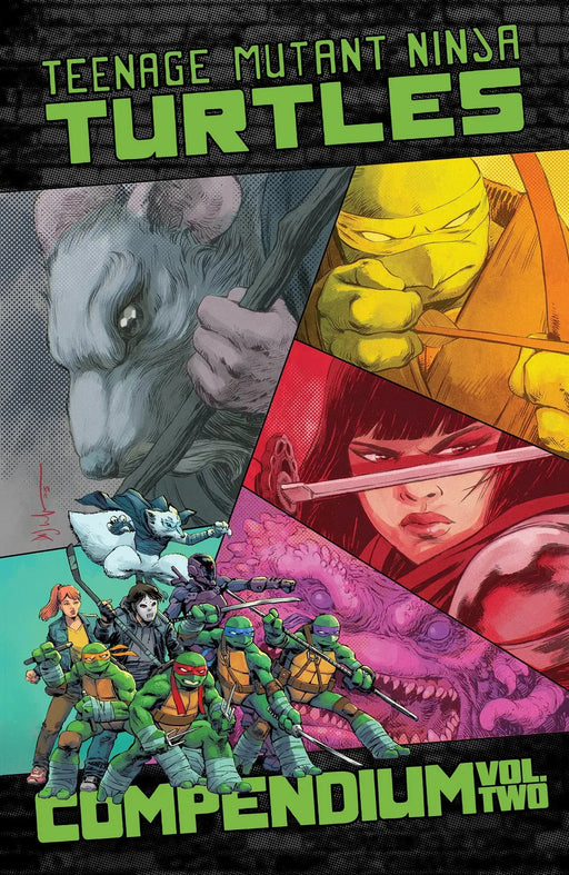 Teenage Mutant Ninja Turtles: Ongoing Compendium, Volume. 2 IDW Publishing