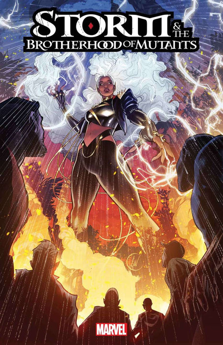 Storm & The Brotherhood Of Mutants 1 Werneck Stormbreakers Variant Sin