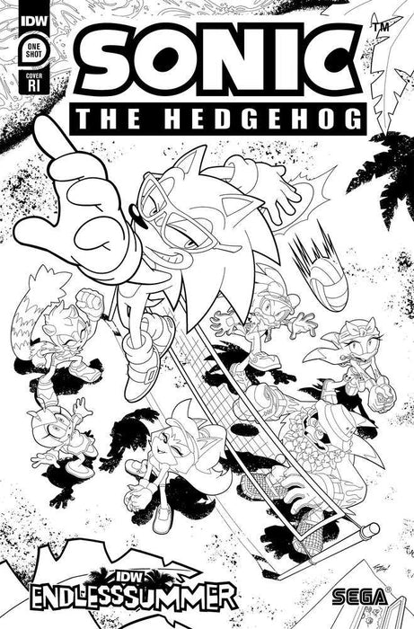 Idw Endless Summer-Sonic The Hedgehog Variant Ri 10 Coloring Book Variant