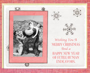 Alternate Histories Vintage Holiday Cards Variety Pack Alternate Histories