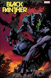 Black Panther #06