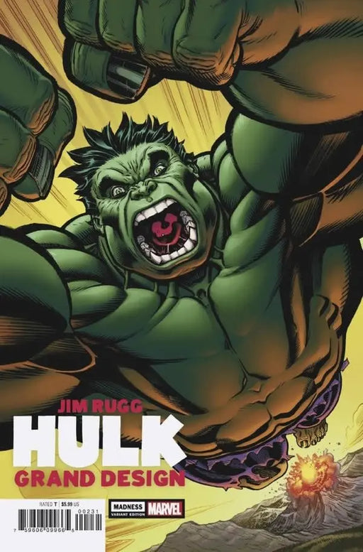 Hulk Grand Design - Madness