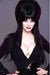 Elvira In Monsterland #3 Cvr G 15 Copy Photo Virgin