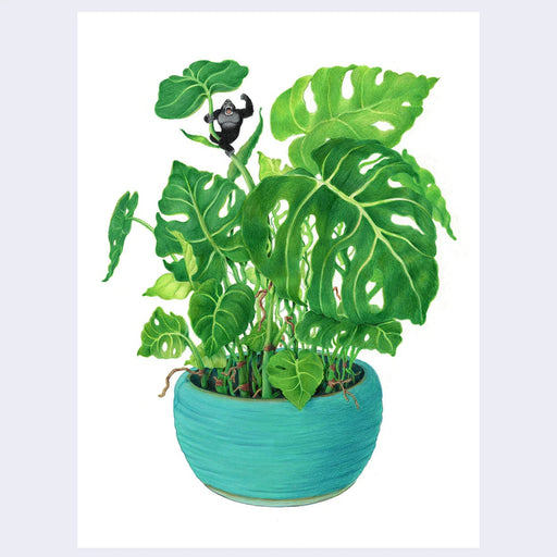 Cassia Lupo Monstera Kong Print 9x12