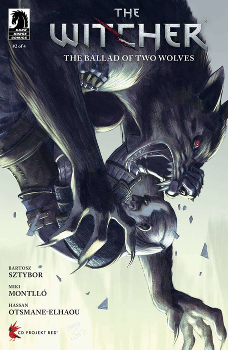 Witcher The Ballad Of Two Wolves #2 Of 4 Cvr D Lopez