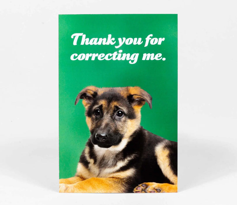 Social Justice Puppies Vol II Postcards