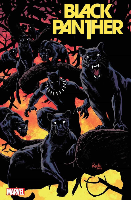 Black Panther #08