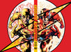 Absolute Flashpoint Hardcover