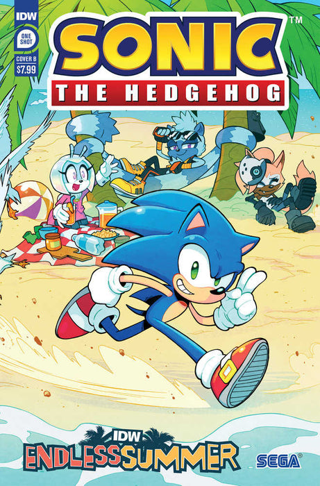 Idw Endless Summer-Sonic The Hedgehog Variant B Lawrence Connected Cover