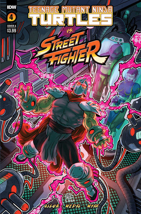 Teenage Mutant Ninja Turtles vs. Street Fighter #4 Cover A Medel