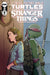 Teenage Mutant Ninja Turtles X Stranger Things #2 Cover C Woodall