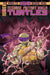 Teenage Mutant Ninja Turtles #145 Cover A Fedrici