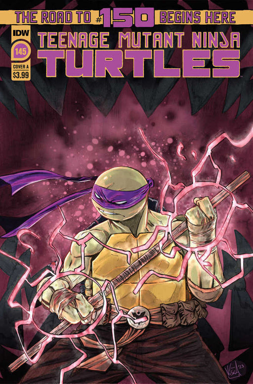 Teenage Mutant Ninja Turtles #145 Cover A Fedrici