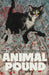 Animal Pound #2 Of 5 Cover B Shimizu Mature