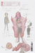 Ultimate X-Men #1 Peach Momoko Design Variant Marvel Comics